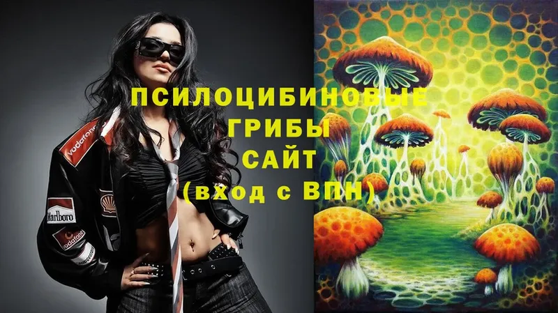 Галлюциногенные грибы MAGIC MUSHROOMS  Петровск-Забайкальский 